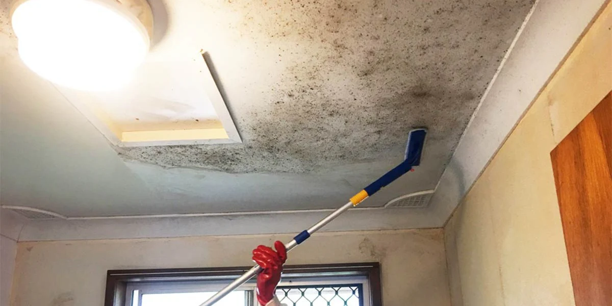 Mold remediation in a bathroom ceiling